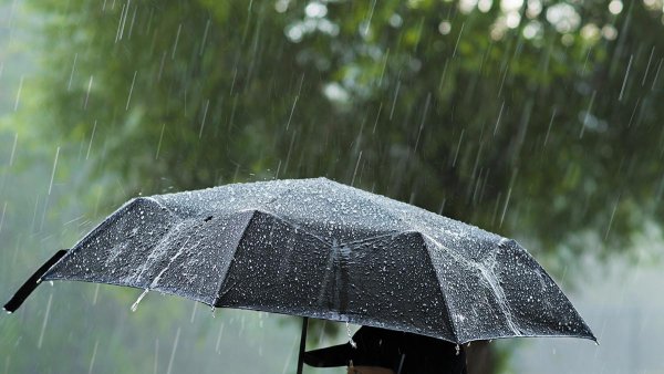 Сильный дождь