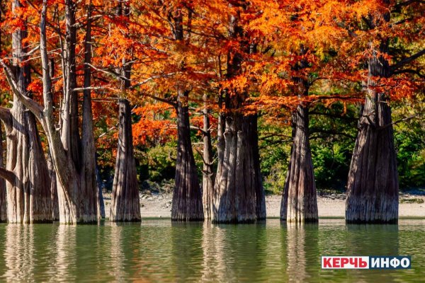 Кипарисовое озеро Сукко