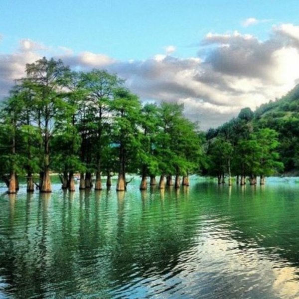 Кипарисовое озеро в Анапе