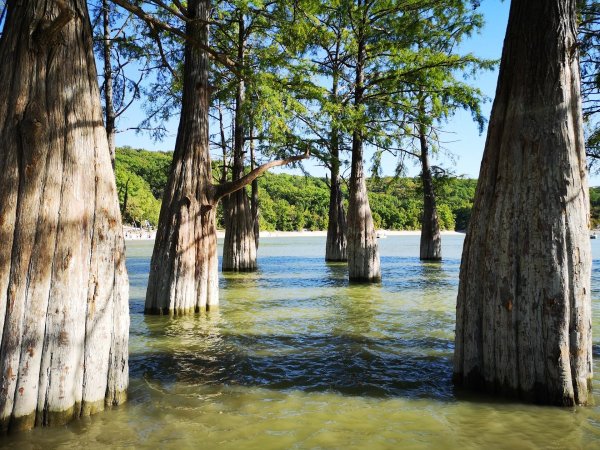 Кипарисовое озеро в Анапе