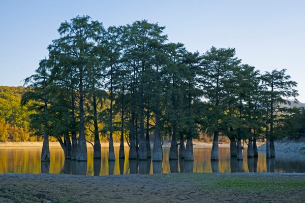 Сукко Анапа Кипарисовое озеро