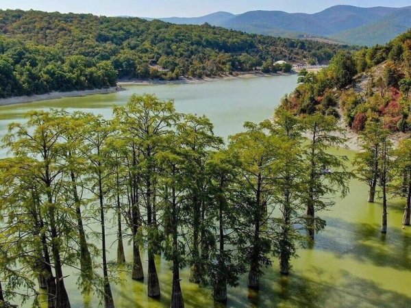 Кипарисовое озеро Сукко