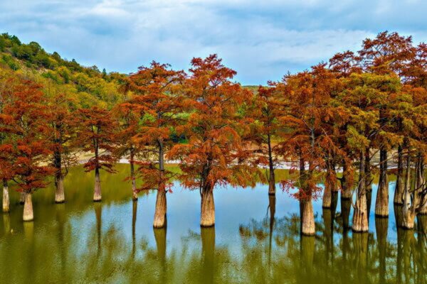 Кипарисовое озеро Сукко Краснодарский край