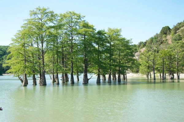 Сукко Анапа Кипарисовое озеро