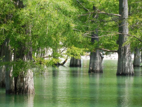 Долина Сукко Кипарисовое озеро