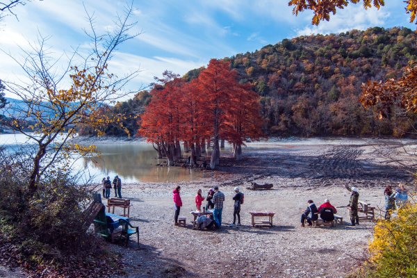 Сукко озеро с кипарисами