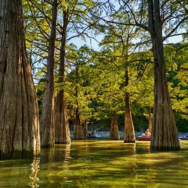 Сукко Анапа Кипарисовое озеро