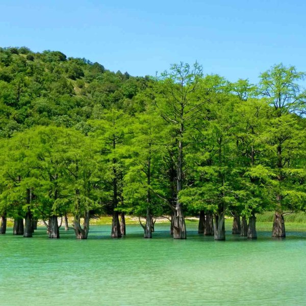 Озеро Сукко в Анапе