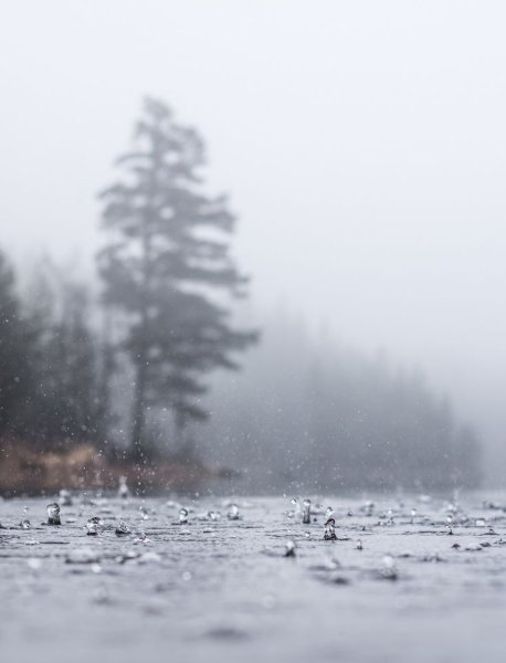 Пасмурный дождливый день