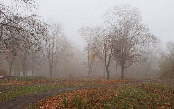 Пасмурная осень