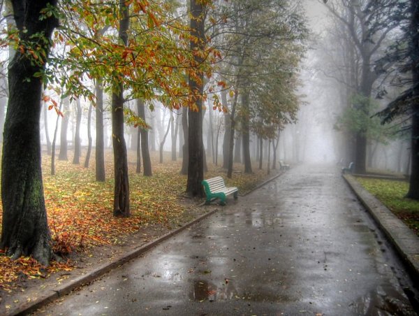 Хмурая дождливая осень