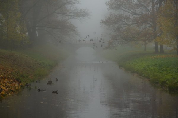 Хмурая дождливая осень