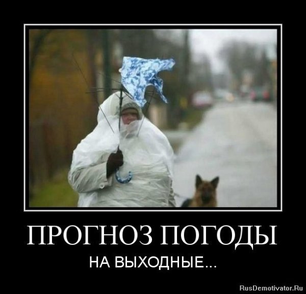 Шутки про плохую погоду