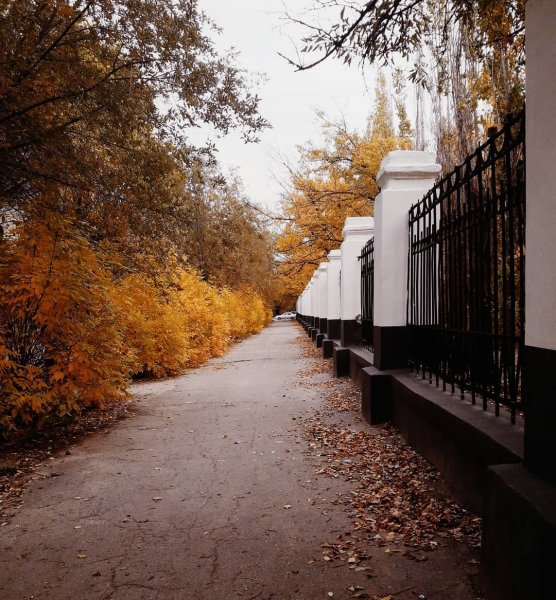 ВГС Волжский осень