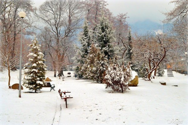 Зимний парк