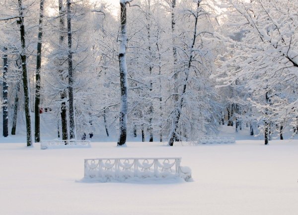 Зимний парк