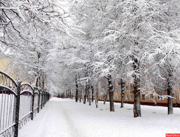 Зимняя аллея в парке