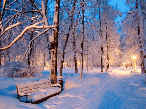 Зимний парк