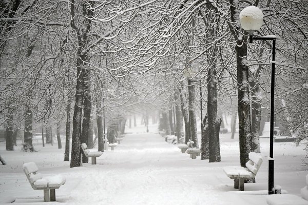 Зимняя аллея в городе