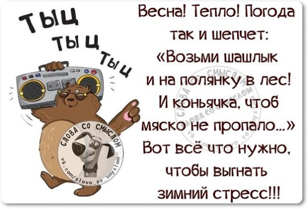 Смешные фразы про стресс