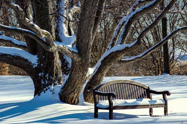 Лавочка зимой в парке