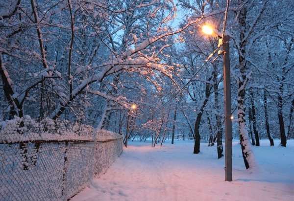 Зимний парк