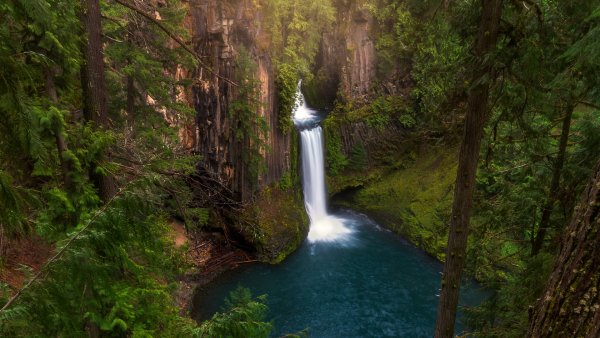 Водопады Север Орегон США лес