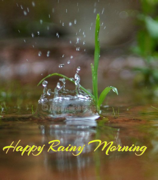 Открытки с добрым дождливым утром