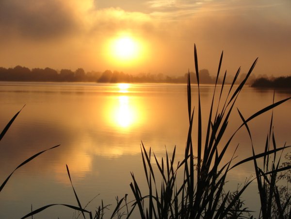 Рассвет на озере фото