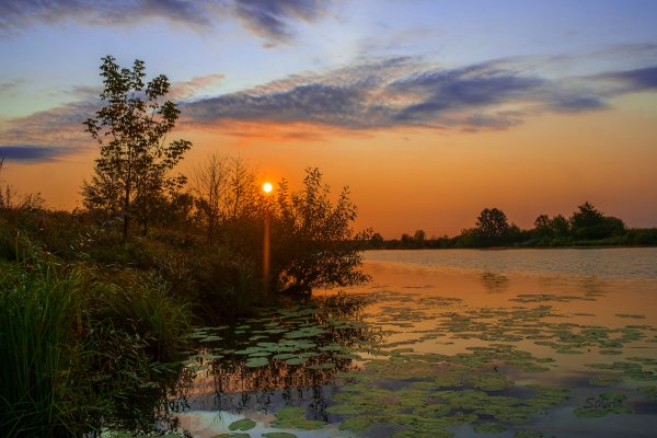 Озеро Сольвейг Мещёра