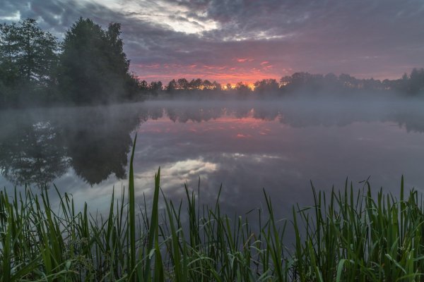 Рассвет над озером