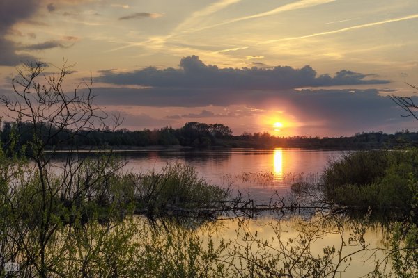 Озеро рассвет Карачев