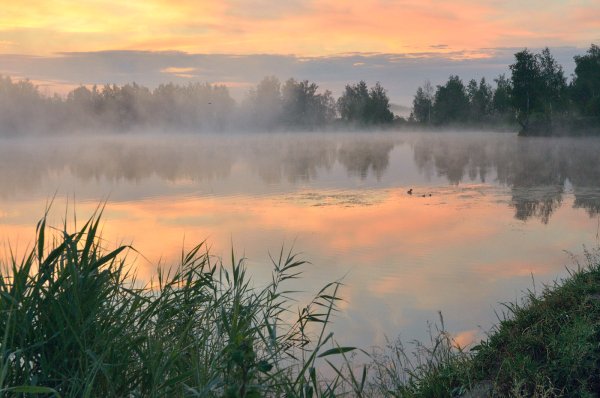 Рассвет на озере