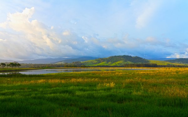 Степь, лесостепь, Алтая