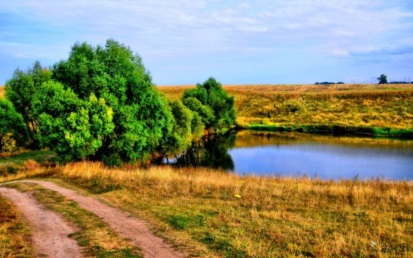 Река в поле