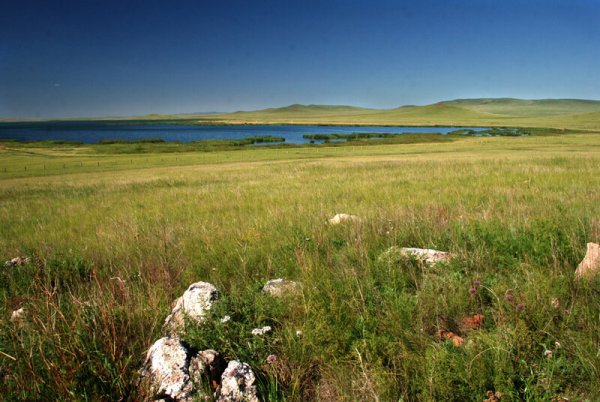 Степь Забайкальский край