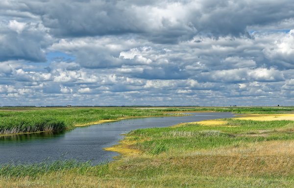 Кулундинская низменность Алтайский край