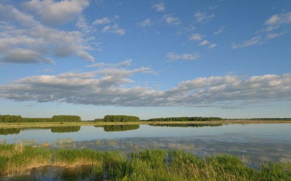 Барабинская низменность Новосибирская область