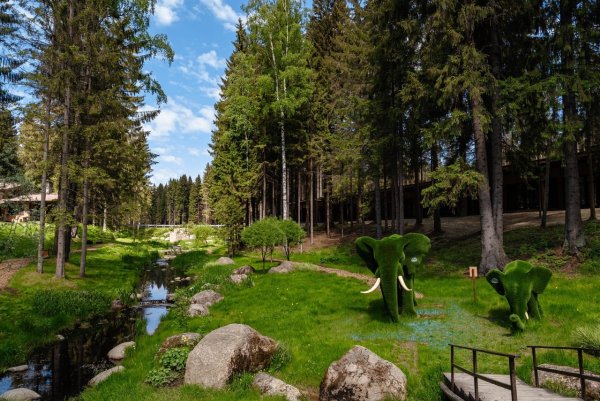 Охта парк, деревня Мистолово