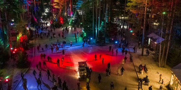 Лесной каток в Охта парке