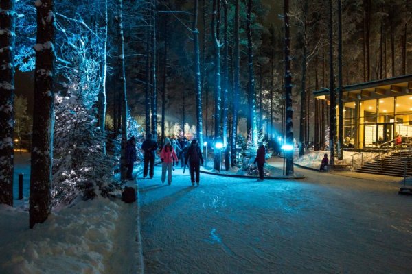 Каток в лесу Санкт-Петербург Охта парк