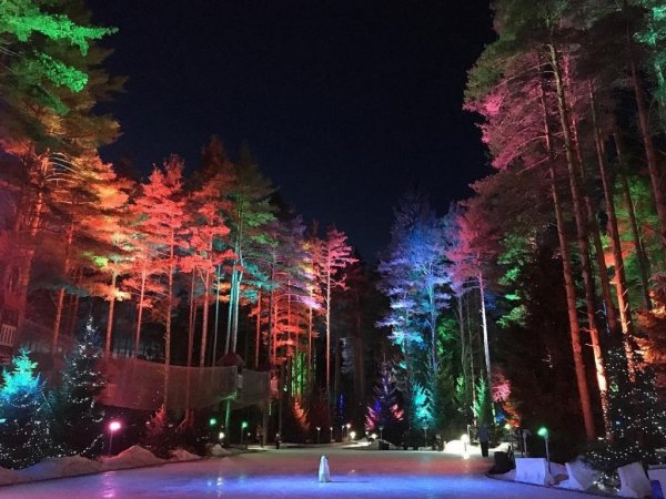 Охта-парк Санкт-Петербург Лесной каток