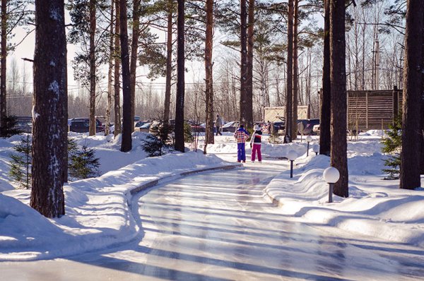 Каток в лесу Санкт-Петербург Охта парк