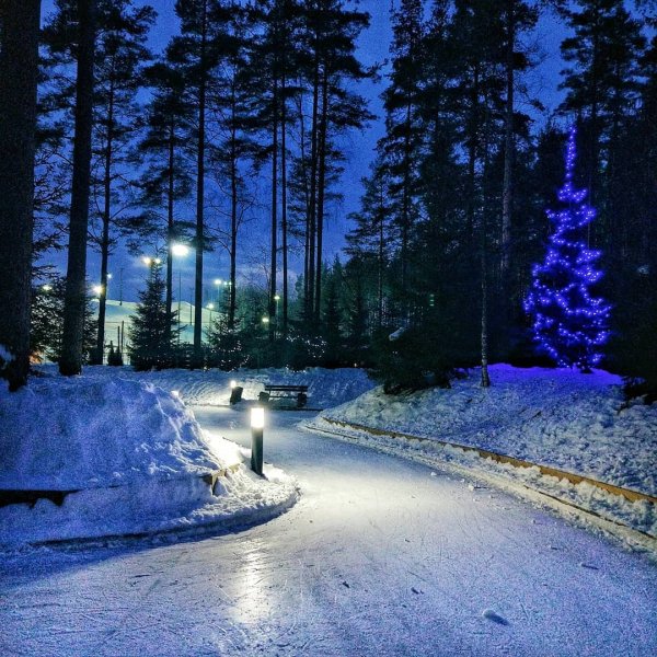 Лесной каток в Охта парке