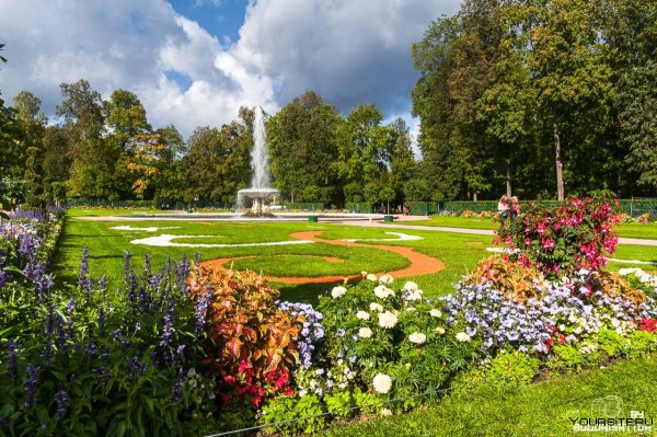 Нижний парк Петергофа, Петергоф