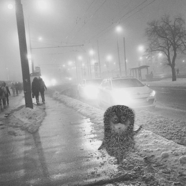 Холодно и гадко