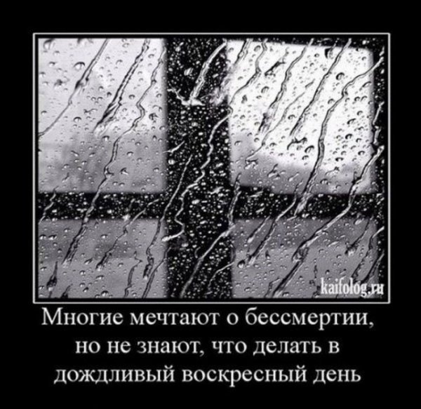 У природы нет плохой погоды