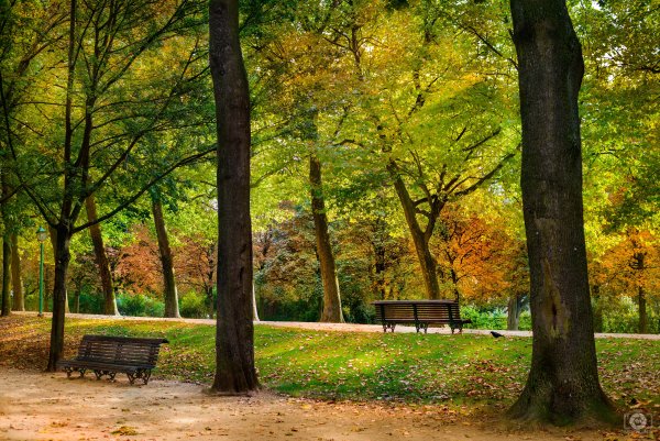 Парк для фотошопа