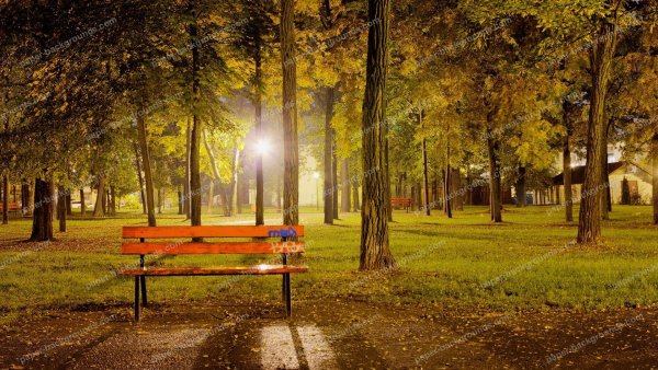 Парк осенью без людей