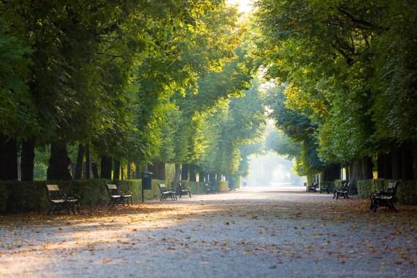 Аллея в парке